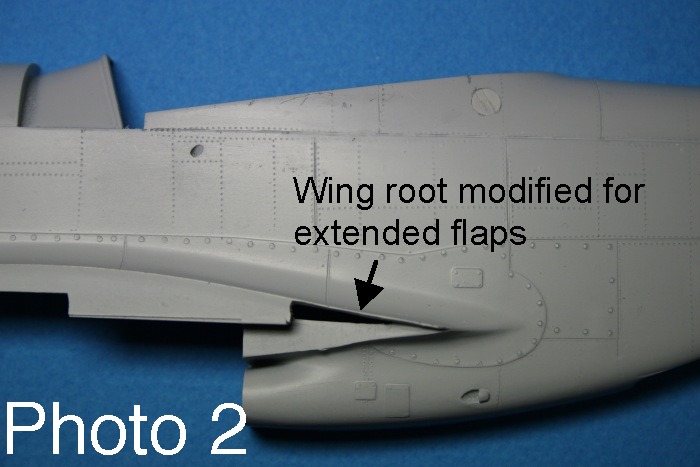 surfaces of the flaps were