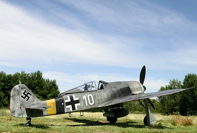 Focke-Wulf Fw 190A-8 by Ian Robertson (Hasegawa 1/32)