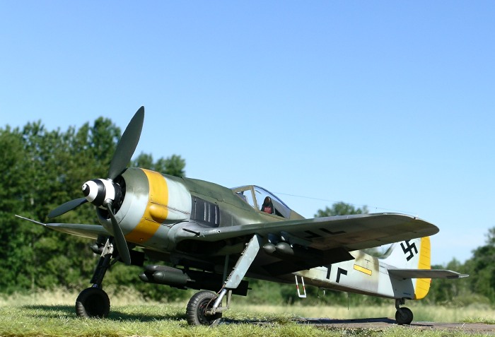 Focke-Wulf Fw Yellow 14 by Robertson (Hasegawa 1/32)