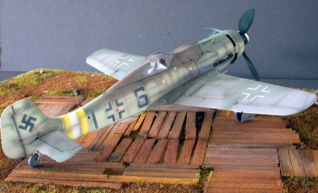 Focke Wulf Fw 190d 9 Big Tail By Roger Fabrocini Hasegawa 1 48