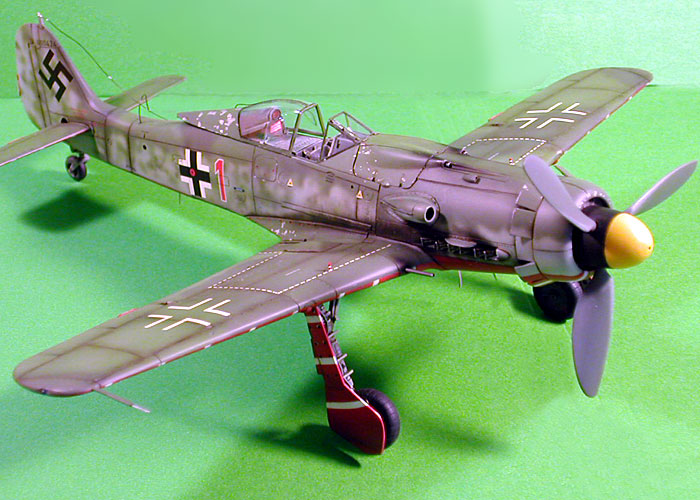 Focke Wulf Fw 190d 9 By Doowan Lee Italeri 1 48